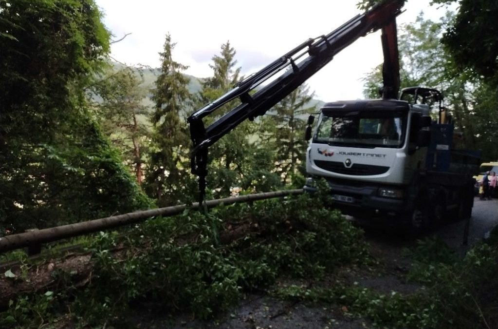 Levage d’un arbre bloquant l’usage de la route d’accès à notre chantier