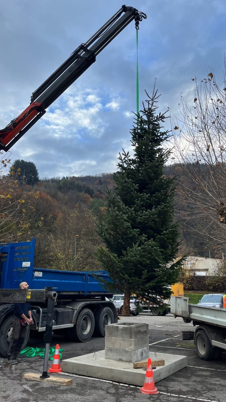 Sapin installé sur la place de Froges