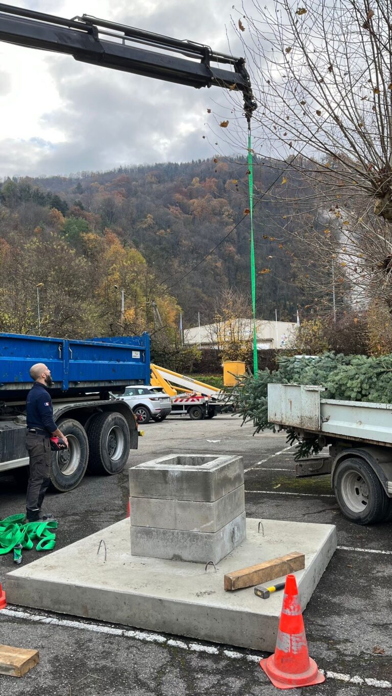 Mise en place du sapin sur son socle