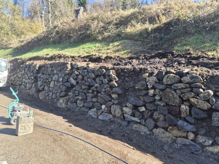 Premier mur dévégétalisé, avant reprise des maçonneries