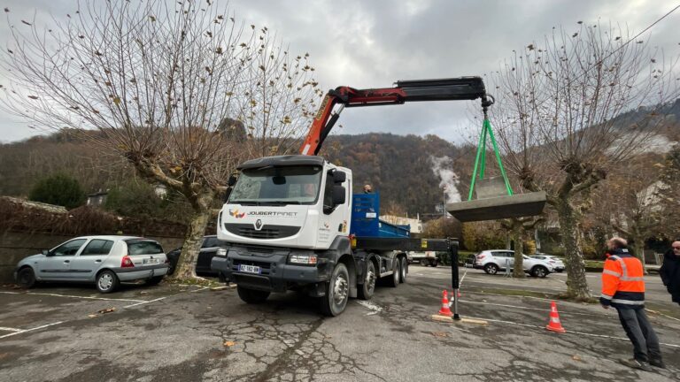 Livraison du sapin par camion-grue