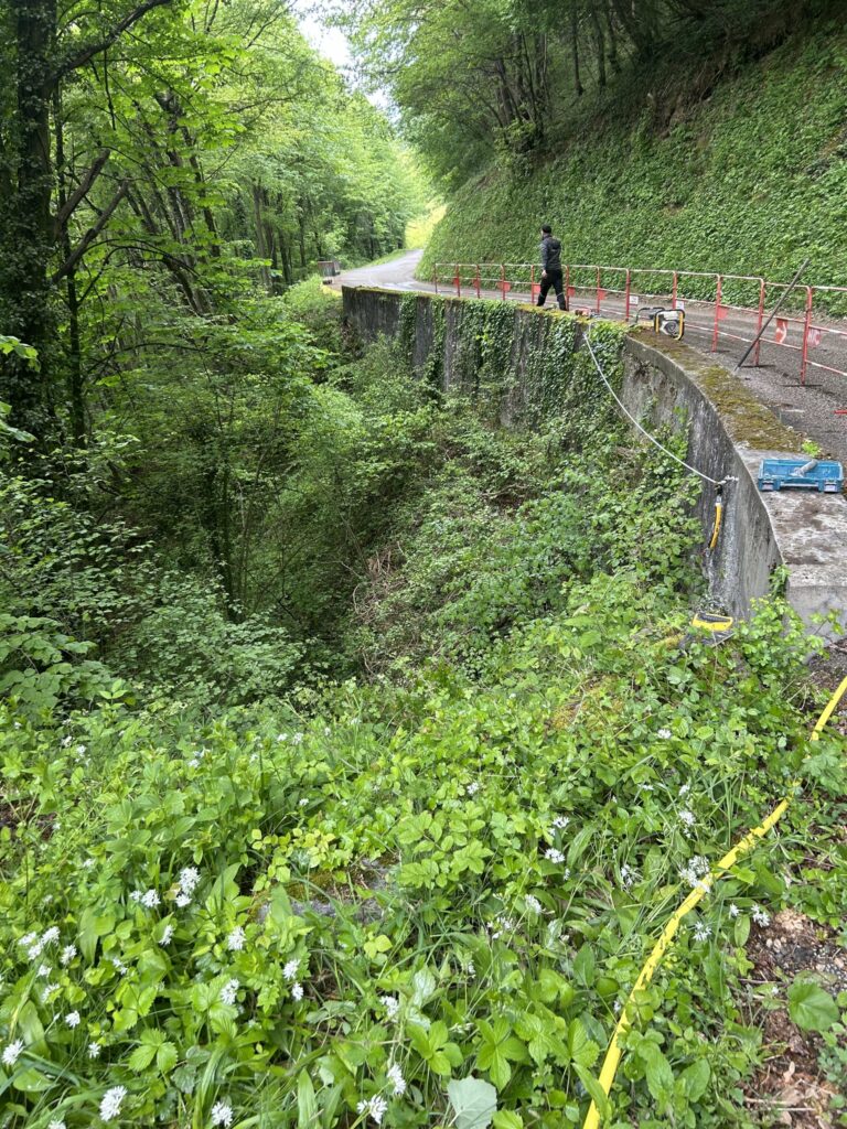 Premier mur envahi par la végétation avant travaux