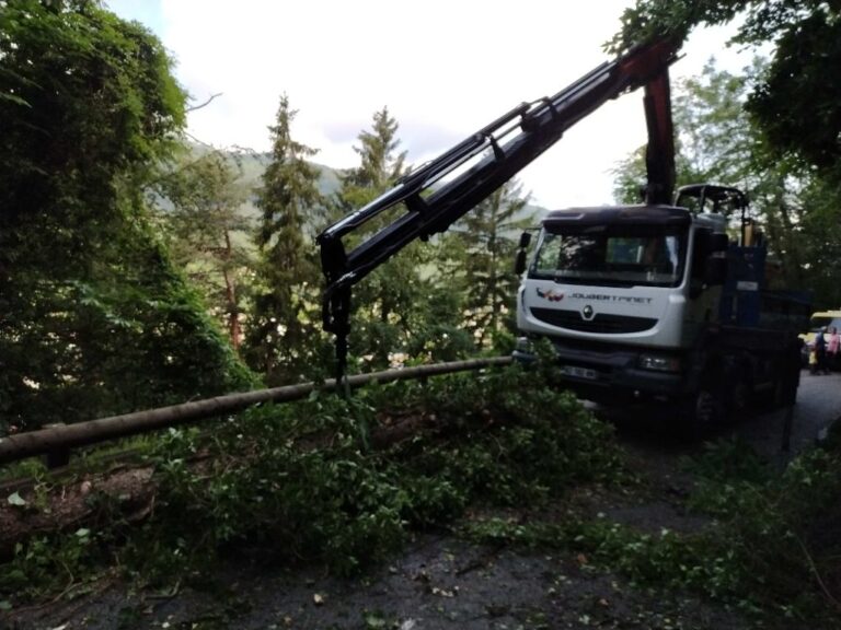 Camion-grue soulevant l'arbre tombé